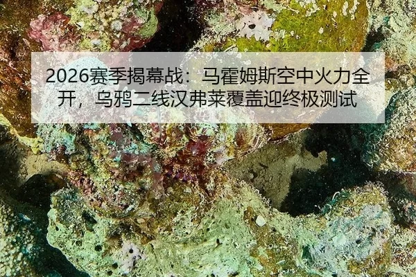 2026赛季揭幕战：马霍姆斯空中火力全开，乌鸦二线汉弗莱覆盖迎终极测试